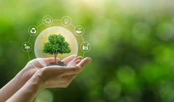 Strengthening Our Commitment to a Nature-Positive Future