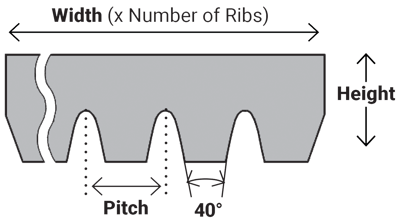 Ribstar_profile